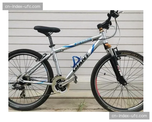 二手高端自行车市场火爆，部分经典车型价格两年翻倍